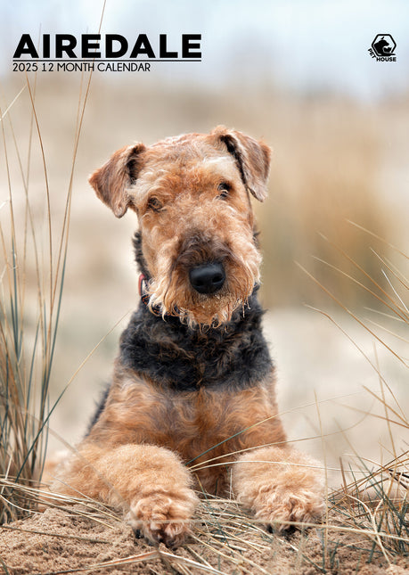 CalendarsRUs Airedale Terrier A3 Kalender 2025