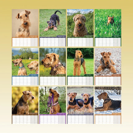 CalendarsRUs Airedale Terrier Kalender 2027 A3