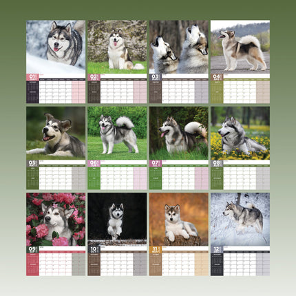 CalendarsRUs Alaskan Malamute A3 Kalender 2026