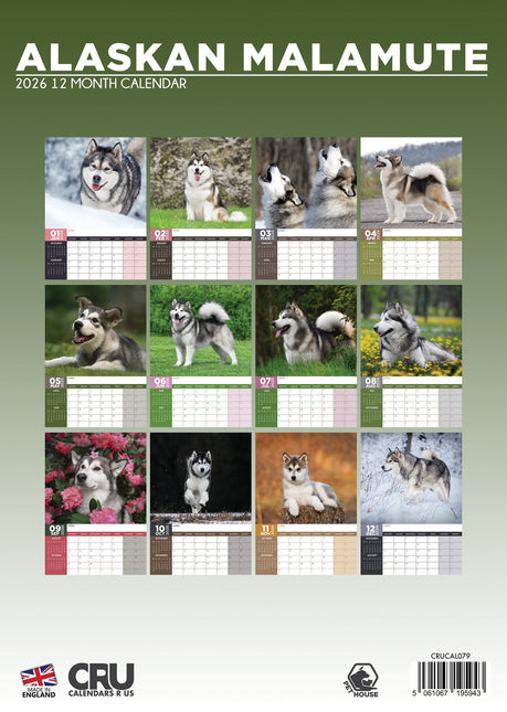 CalendarsRUs Alaskan Malamute A3 Kalender 2026