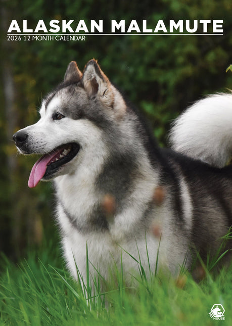 CalendarsRUs Alaskan Malamute A3 Kalender 2026