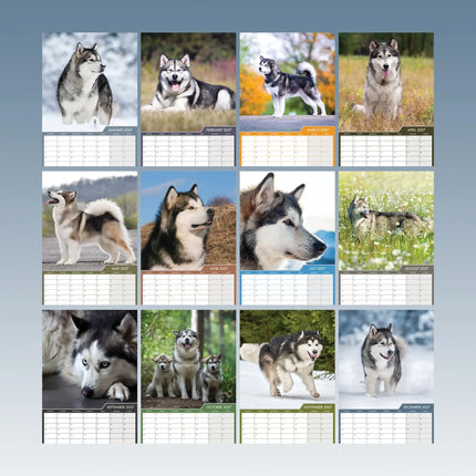 CalendarsRUs Alaskan Malamute A3 Kalender 2027