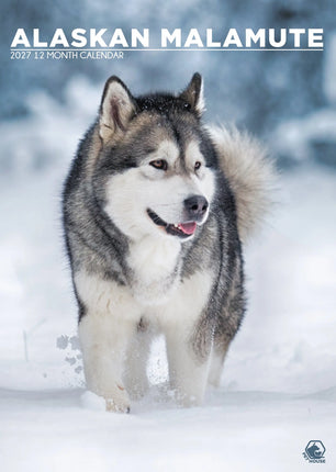 CalendarsRUs Alaskan Malamute A3 Kalender 2027