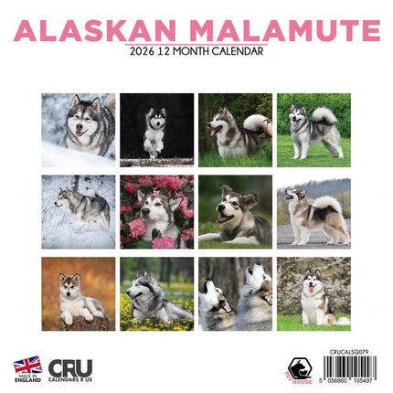 CalendarsRUs Alaskan Malamute Kalender 2026