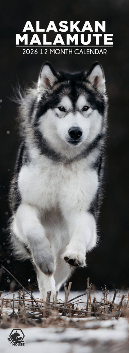 CalendarsRUs Alaskan Malamute Slimline Kalender 2026