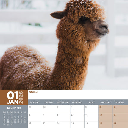CalendarsRUs Alpaca A3 Kalender 2026
