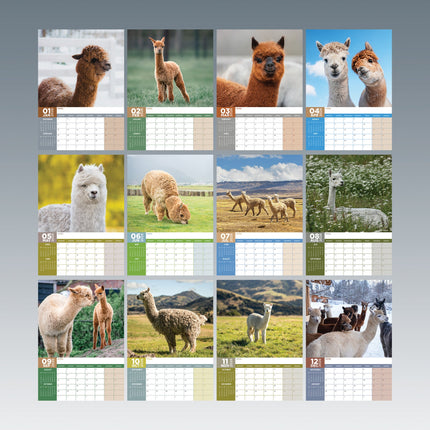 CalendarsRUs Alpaca A3 Kalender 2026