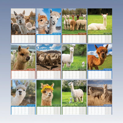 CalendarsRUs Alpaca A3 Kalender 2027