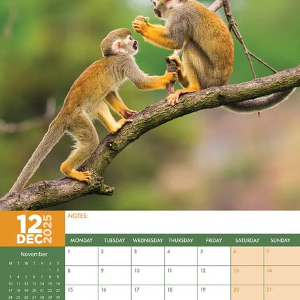 CalendarsRUs Apen A3 Kalender 2025