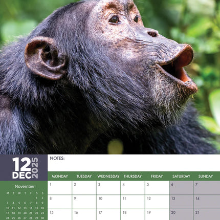 CalendarsRUs Apen A3 Kalender 2025