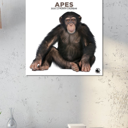 CalendarsRUs Apen Kalender 2026