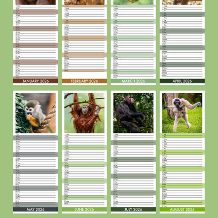 CalendarsRUs Apen Slimline Kalender 2026
