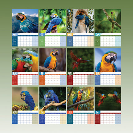CalendarsRUs Ara A3 Kalender 2026