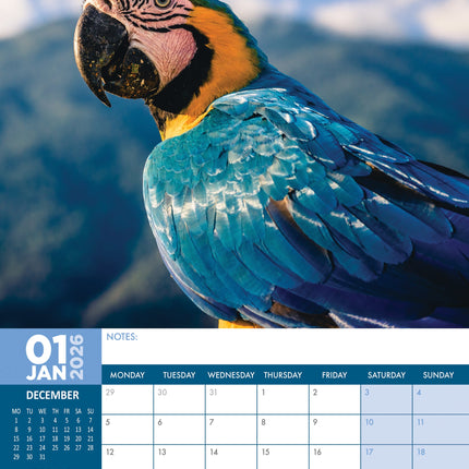 CalendarsRUs Ara A3 Kalender 2026