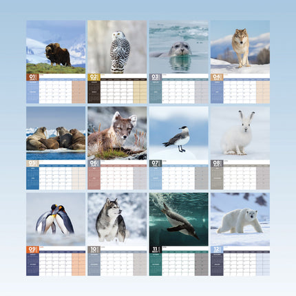 CalendarsRUs Arctic Animals A3 Kalender 2026