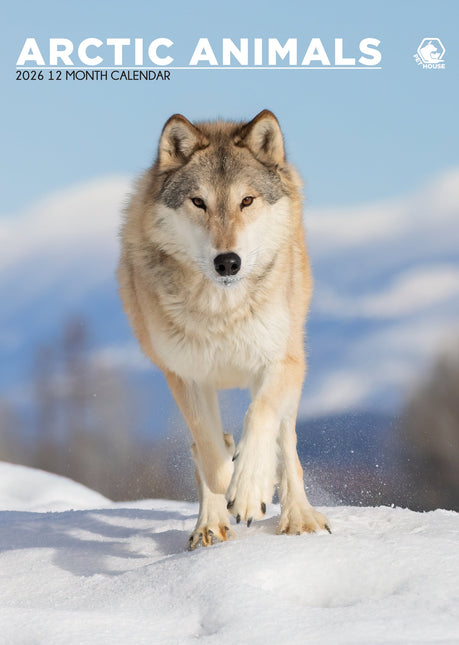 CalendarsRUs Arctic Animals A3 Kalender 2026