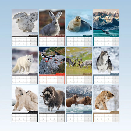 CalendarsRUs Arctic Animals A3 Kalender 2027