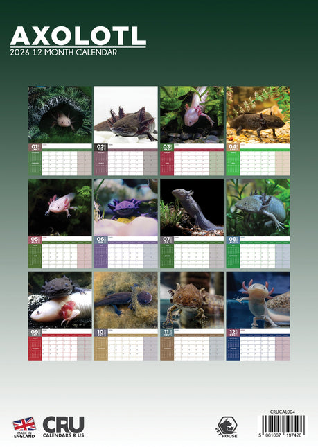 CalendarsRUs Axolotl A3 Kalender 2026