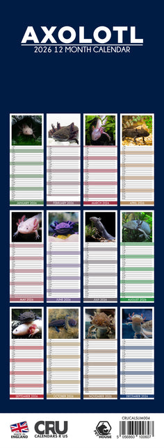 CalendarsRUs Axolotl Slimline Kalender 2026