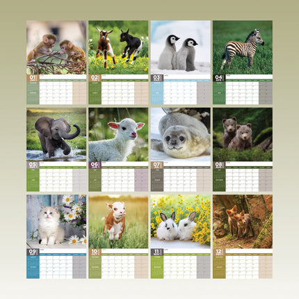 CalendarsRUs Baby Dieren A3 Kalender 2026