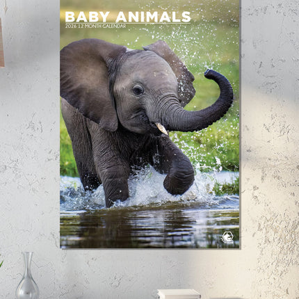 CalendarsRUs Baby Dieren A3 Kalender 2026