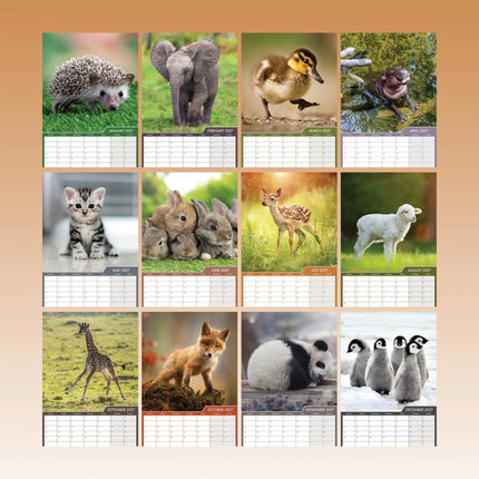CalendarsRUs Baby Dieren A3 Kalender 2027