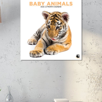 CalendarsRUs Baby Dieren Kalender 2026