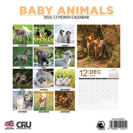 CalendarsRUs Baby Dieren Kalender 2026