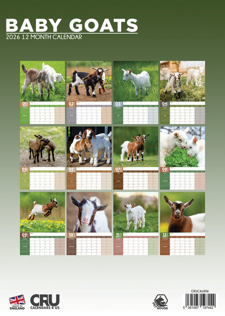 CalendarsRUs Baby Geiten A3 Kalender 2026