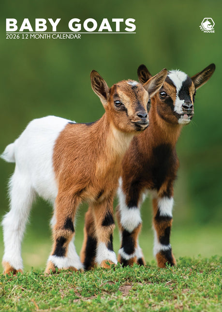CalendarsRUs Baby Geiten A3 Kalender 2026