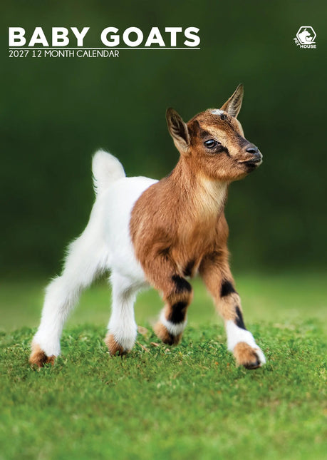 CalendarsRUs Baby Geiten A3 Kalender 2027