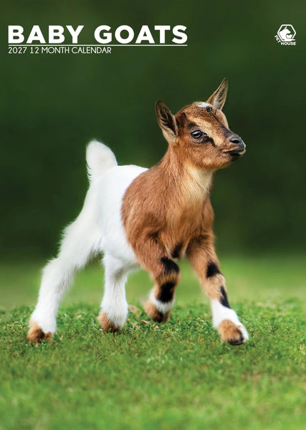CalendarsRUs Baby Geiten A3 Kalender 2027