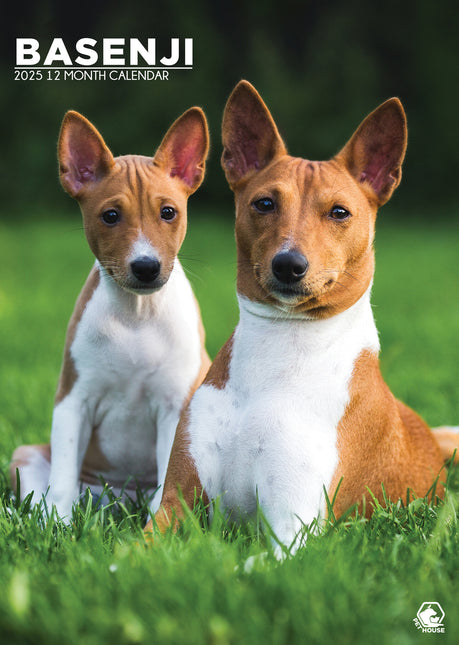 CalendarsRUs Basenji A3 Kalender 2025