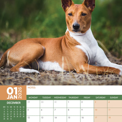 CalendarsRUs Basenji A3 Kalender 2026