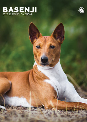 CalendarsRUs Basenji A3 Kalender 2026