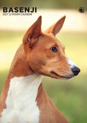 CalendarsRUs Basenji A3 Kalender 2027