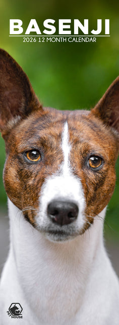 CalendarsRUs Basenji Slimline Kalender 2026
