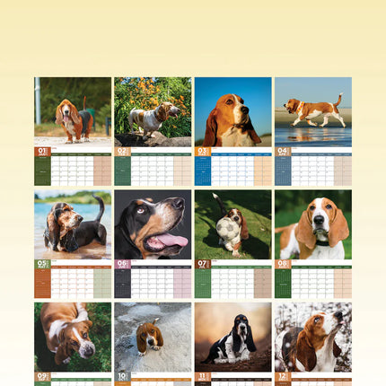 CalendarsRUs Basset Hound A3 Kalender 2025