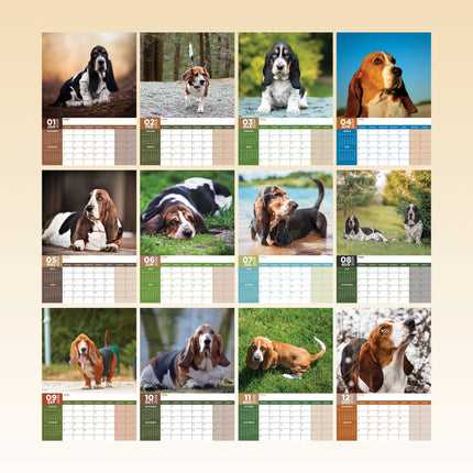 CalendarsRUs Basset Hound A3 Kalender 2026