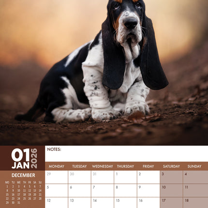 CalendarsRUs Basset Hound A3 Kalender 2026