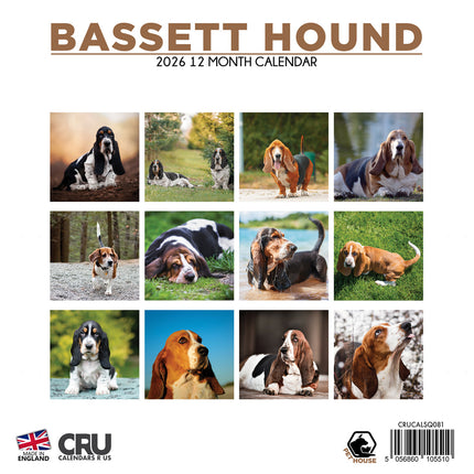 CalendarsRUs Basset Hound Kalender 2026