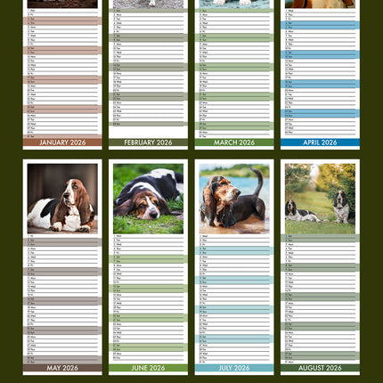 CalendarsRUs Basset Hound Slimline Kalender 2026