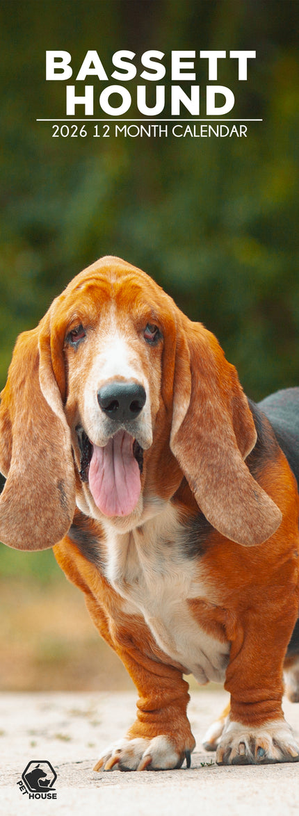 CalendarsRUs Basset Hound Slimline Kalender 2026