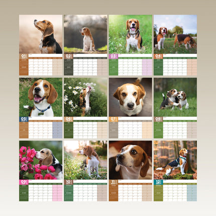 CalendarsRUs Beagle A3 Kalender 2026