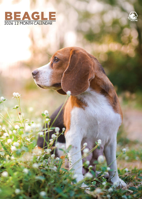 CalendarsRUs Beagle A3 Kalender 2026