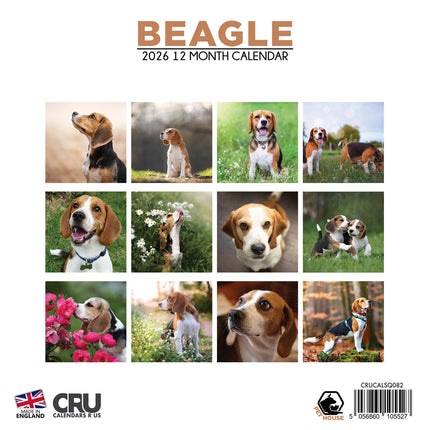 CalendarsRUs Beagle Kalender 2026