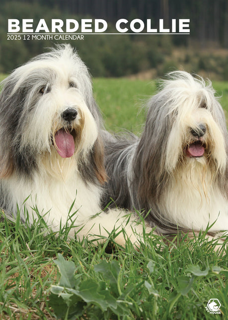 CalendarsRUs Bearded Collie A3 Kalender 2025