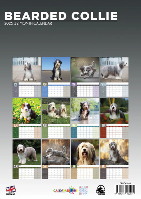 CalendarsRUs Bearded Collie A3 Kalender 2025