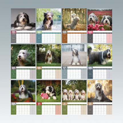 CalendarsRUs Bearded Collie A3 Kalender 2026