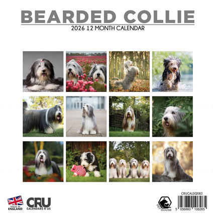 CalendarsRUs Bearded Collie Kalender 2026